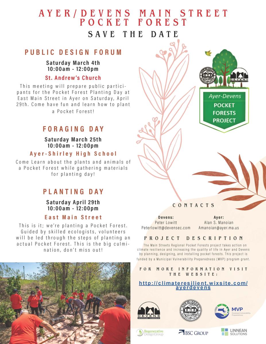 Town of Ayer Pocket Forest Events