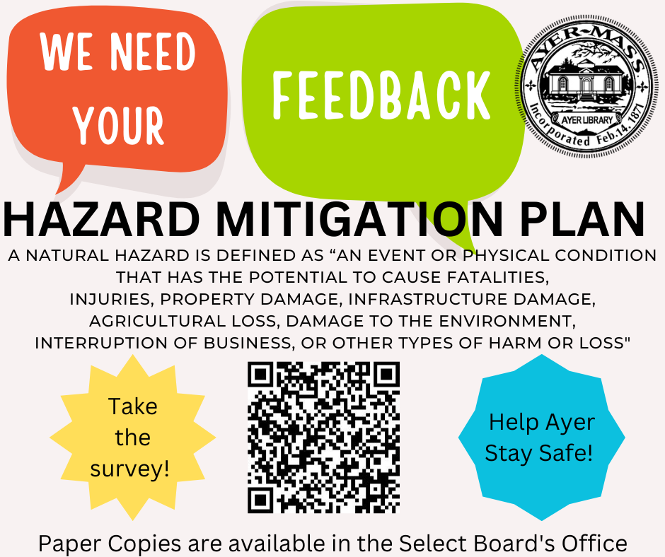 Hazard Mitigation Survey