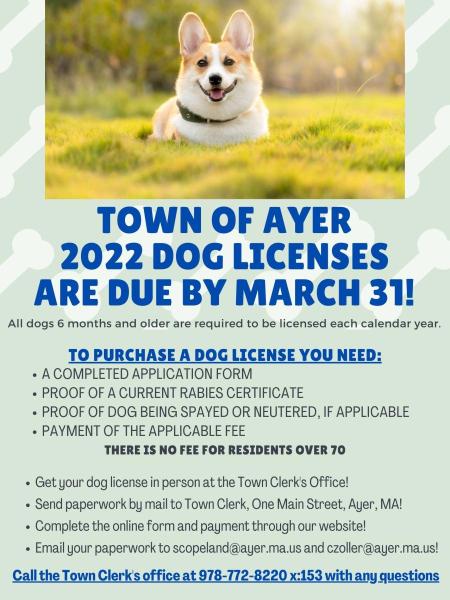 2022 dog licenses