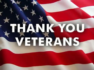 Image of Thank You Veterans American flag