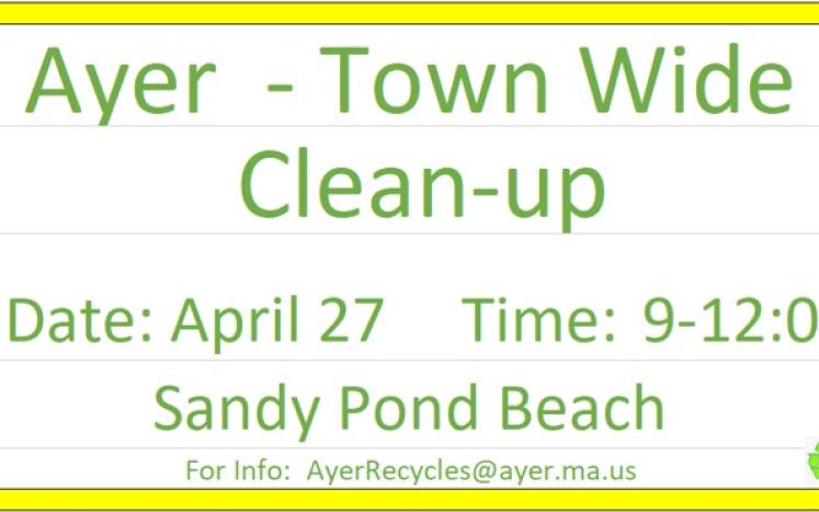 Town-Wide Cleanup